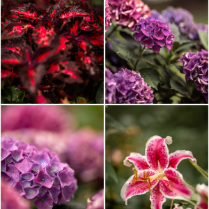 "Floral" - Fotografie Set