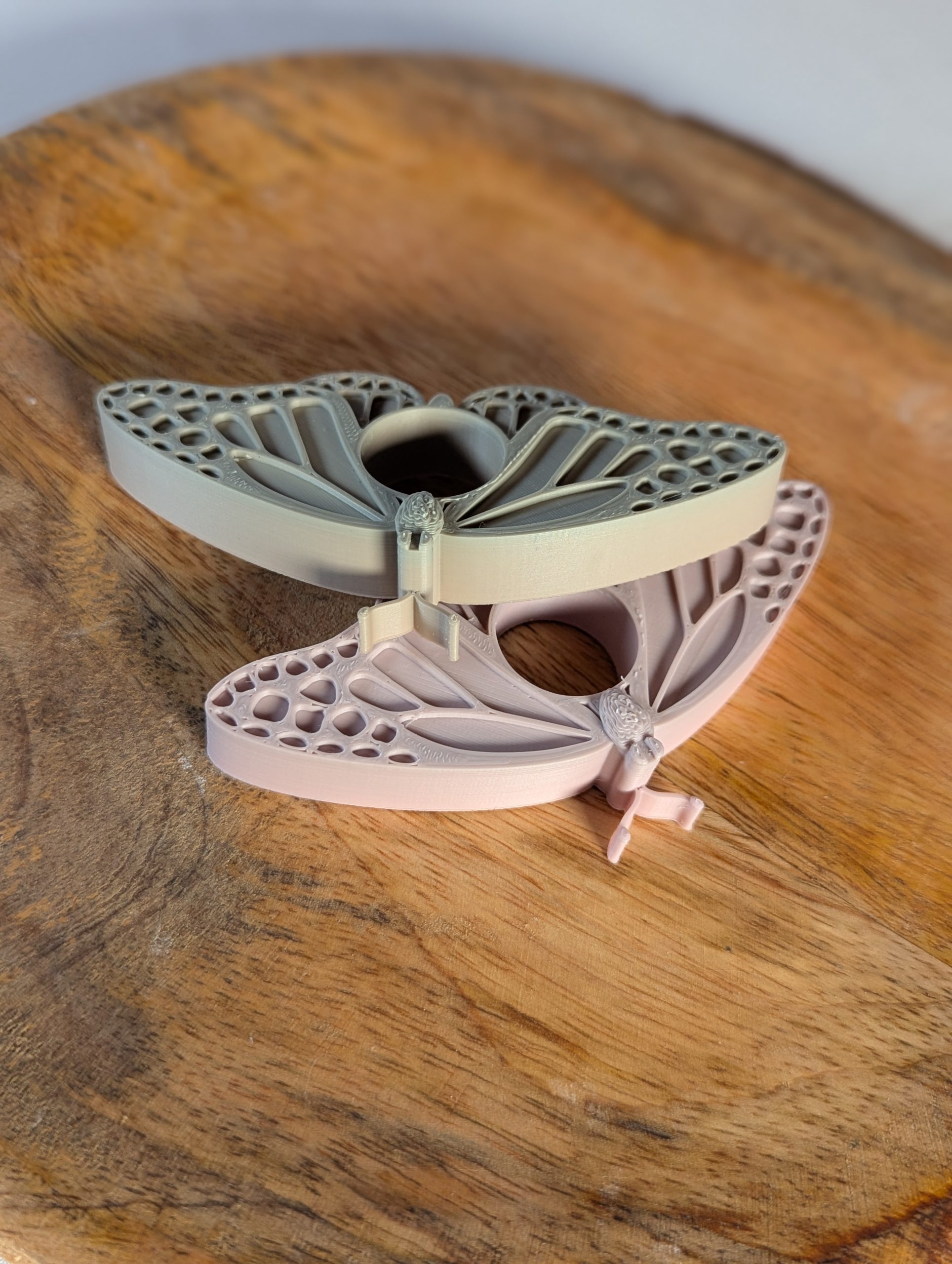 Schmetterling Seitenhalter – Bild 3